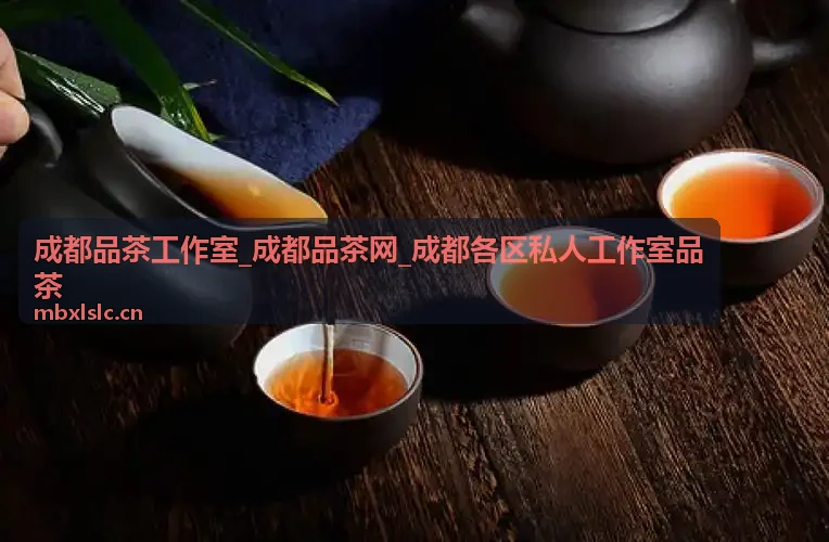 成都品茶工作室私享茗茶体验